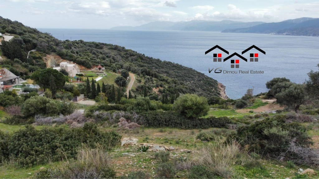 Οικόπεδο 16.500 τ.μ. προς πώληση, Μεσοχώρια