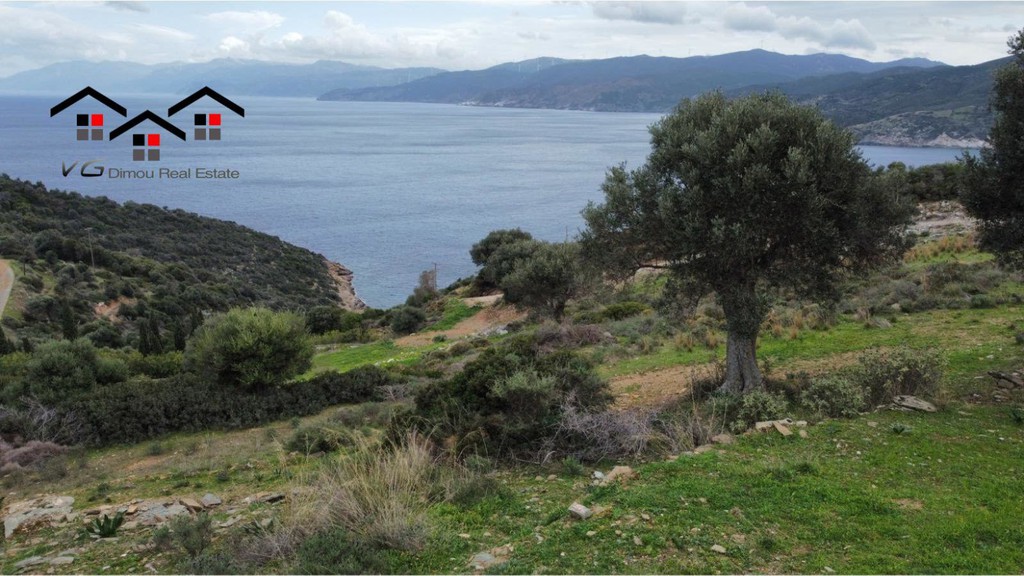 Οικόπεδο 16.500 τ.μ. προς πώληση, Μεσοχώρια