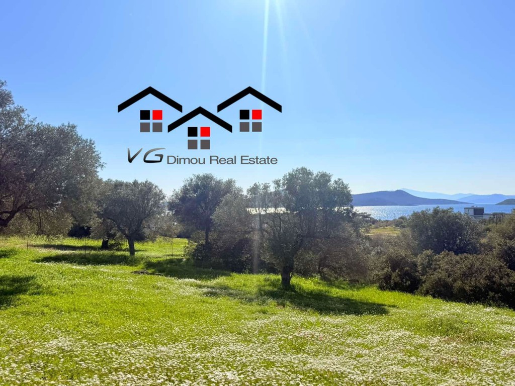 Αγροτεμάχια 4.600 τ.μ. προς πώληση, Νέα Στύρα