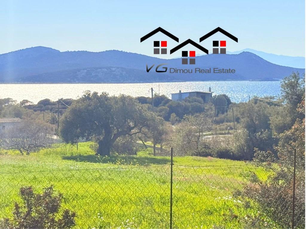 Αγροτεμάχια 4.600 τ.μ. προς πώληση, Νέα Στύρα