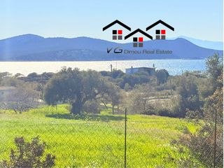 Αγροτεμάχια 4.600 τ.μ. για πώληση