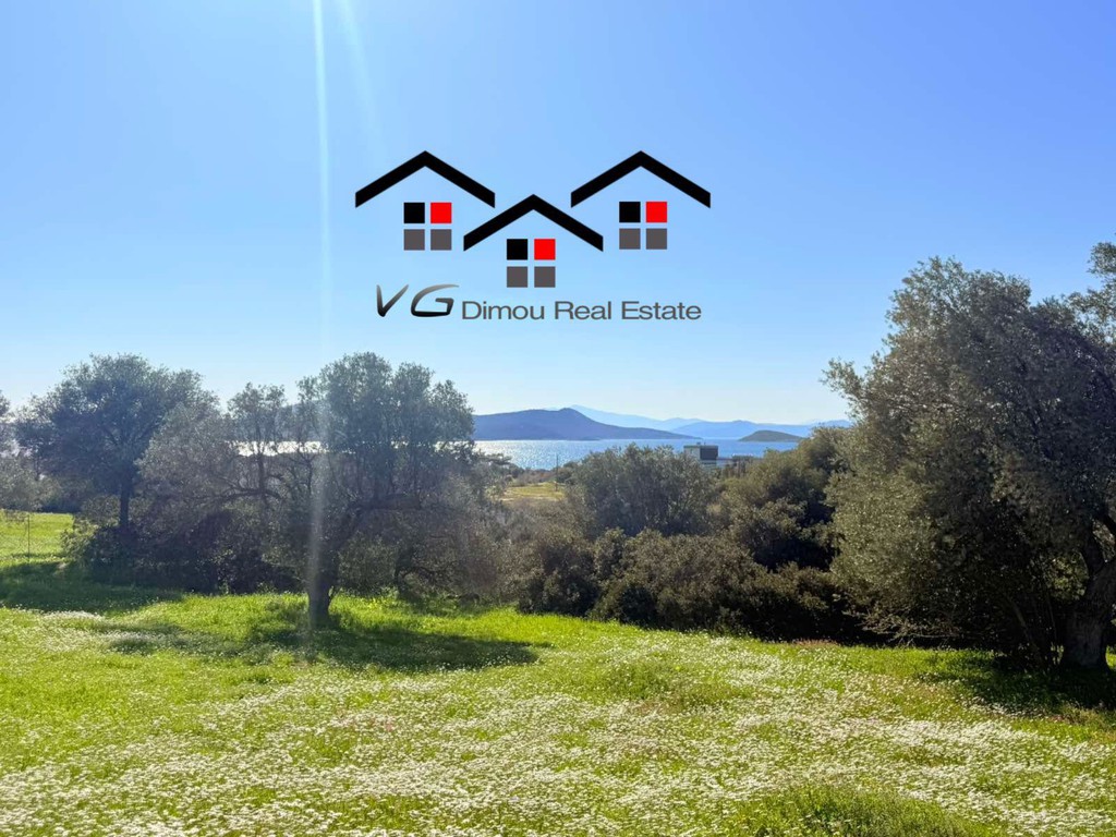Αγροτεμάχια 4.600 τ.μ. προς πώληση, Νέα Στύρα