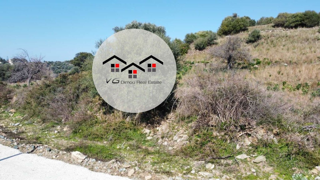 Αγροτεμάχια 8.500 τ.μ. προς πώληση, Νέα Στύρα