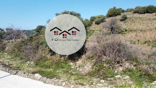 Αγροτεμάχια 8.500 τ.μ. για πώληση