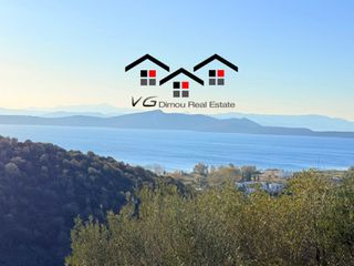 Αγροτεμάχια 8.000 τ.μ. για πώληση, Εύβοια, Στύρα-thumb-10