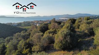 Αγροτεμάχια 8.000 τ.μ. για πώληση, Εύβοια, Στύρα-thumb-20
