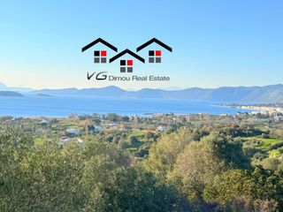 Αγροτεμάχια 8.000 τ.μ. για πώληση