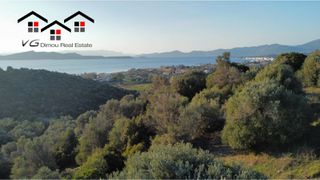Αγροτεμάχια 8.000 τ.μ. για πώληση, Εύβοια, Στύρα-thumb-19