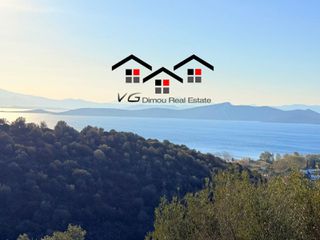 Αγροτεμάχια 8.000 τ.μ. για πώληση, Εύβοια, Στύρα-thumb-15