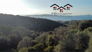 Αγροτεμάχια 8.000 τ.μ. για πώληση, Εύβοια, Στύρα-thumb-21