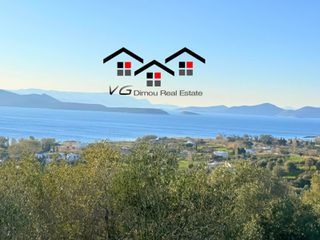 Αγροτεμάχια 8.000 τ.μ. για πώληση, Εύβοια, Στύρα-thumb-2