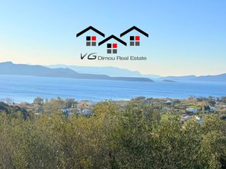 Αγροτεμάχια 8.000 τ.μ. για πώληση, Εύβοια, Στύρα-thumb-3