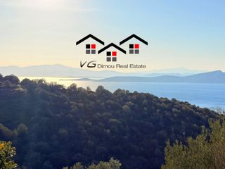 Αγροτεμάχια 8.000 τ.μ. για πώληση, Εύβοια, Στύρα-thumb-9