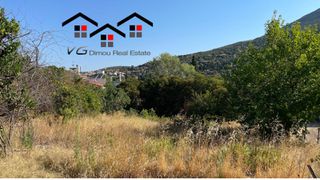 Οικόπεδο 1.700 τ.μ. για πώληση, Εύβοια, Στύρα-thumb-5