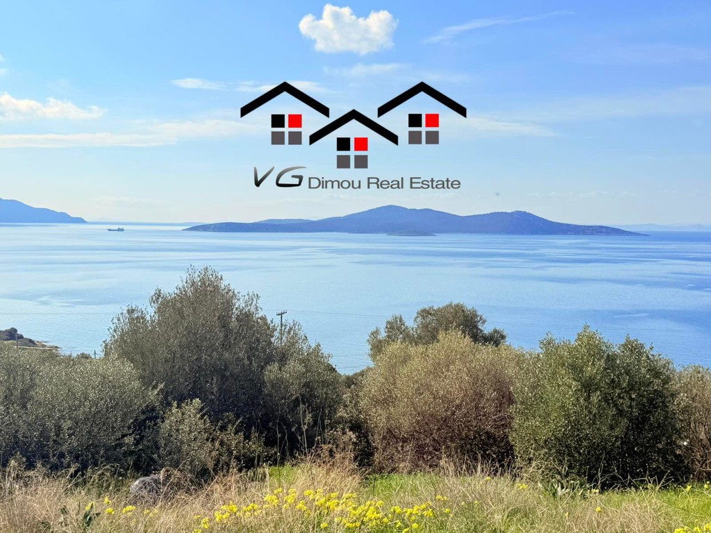 Αγροτεμάχια 4.300 τ.μ. προς πώληση, Δήλησο