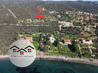 Αγροτεμάχια 4.300 τ.μ. για πώληση, Εύβοια, Στύρα-thumb-4
