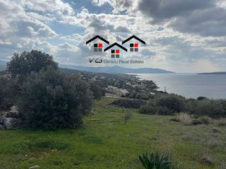 Αγροτεμάχια 4.300 τ.μ. για πώληση, Εύβοια, Στύρα-thumb-10