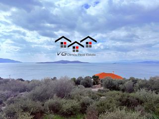 Αγροτεμάχια 4.300 τ.μ. για πώληση, Εύβοια, Στύρα-thumb-15