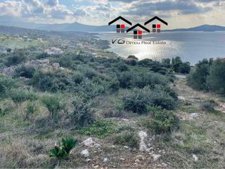 Αγροτεμάχια 4.300 τ.μ. για πώληση, Εύβοια, Στύρα-thumb-5