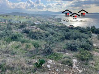 Αγροτεμάχια 4.300 τ.μ. για πώληση, Εύβοια, Στύρα-thumb-22