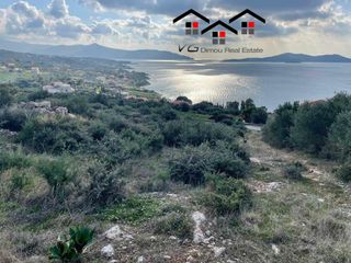 Αγροτεμάχια 4.300 τ.μ. για πώληση, Εύβοια, Στύρα-thumb-11