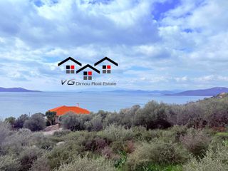 Αγροτεμάχια 4.300 τ.μ. για πώληση, Εύβοια, Στύρα-thumb-23