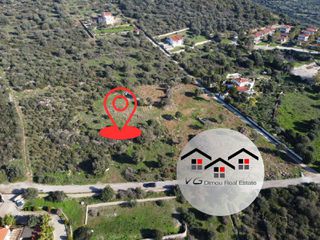 Αγροτεμάχια 4.300 τ.μ. για πώληση, Εύβοια, Στύρα-thumb-12