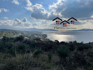 Αγροτεμάχια 4.300 τ.μ. για πώληση, Εύβοια, Στύρα-thumb-8