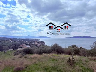 Αγροτεμάχια 4.300 τ.μ. για πώληση, Εύβοια, Στύρα-thumb-16