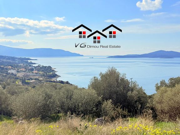 Parcel 4.300 sqm for sale, Evia, Stira