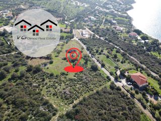 Αγροτεμάχια 4.300 τ.μ. για πώληση, Εύβοια, Στύρα-thumb-9