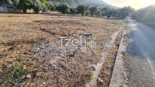 Οικόπεδο 1.500 τ.μ. για ενοικίαση, Αχαΐα, Πάτρα-thumb-17