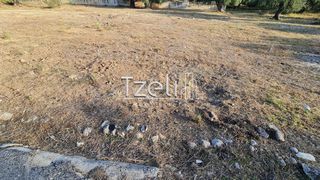 Οικόπεδο 1.500 τ.μ. για ενοικίαση, Αχαΐα, Πάτρα-thumb-2