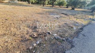 Οικόπεδο 1.500 τ.μ. για ενοικίαση, Αχαΐα, Πάτρα-thumb-24