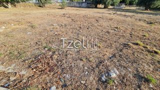 Οικόπεδο 1.500 τ.μ. για ενοικίαση, Αχαΐα, Πάτρα-thumb-18