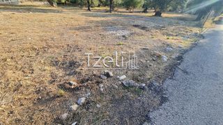 Οικόπεδο 1.500 τ.μ. για ενοικίαση, Αχαΐα, Πάτρα-thumb-28