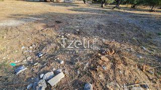 Οικόπεδο 1.500 τ.μ. για ενοικίαση, Αχαΐα, Πάτρα-thumb-15