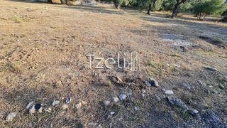 Οικόπεδο 1.500 τ.μ. για ενοικίαση, Αχαΐα, Πάτρα-thumb-25