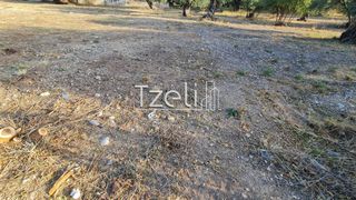 Οικόπεδο 1.500 τ.μ. για ενοικίαση, Αχαΐα, Πάτρα-thumb-3