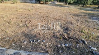 Οικόπεδο 1.500 τ.μ. για ενοικίαση, Αχαΐα, Πάτρα-thumb-21
