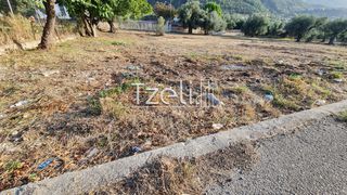 Οικόπεδο 1.500 τ.μ. για ενοικίαση, Αχαΐα, Πάτρα-thumb-5