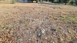 Οικόπεδο 1.500 τ.μ. για ενοικίαση, Αχαΐα, Πάτρα-thumb-11