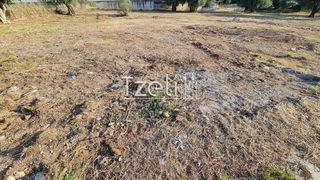 Οικόπεδο 1.500 τ.μ. για ενοικίαση, Αχαΐα, Πάτρα-thumb-1