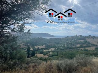 Αγροτεμάχια 7.698 τ.μ. για πώληση