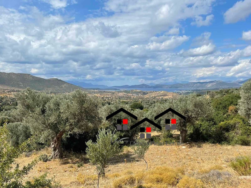 Αγροτεμάχια 7.599 τ.μ. για πώληση, Εύβοια, Στύρα