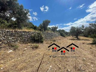 Αγροτεμάχια 7.599 τ.μ. για πώληση, Εύβοια, Στύρα-thumb-4