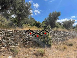 Αγροτεμάχια 7.599 τ.μ. για πώληση, Εύβοια, Στύρα-thumb-5