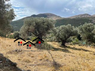 Αγροτεμάχια 7.599 τ.μ. για πώληση, Εύβοια, Στύρα-thumb-1