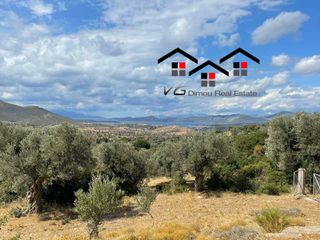 Αγροτεμάχια 7.599 τ.μ. για πώληση, Εύβοια, Στύρα-thumb-2