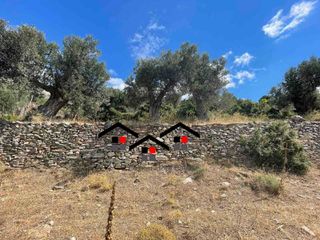 Αγροτεμάχια 7.599 τ.μ. για πώληση, Εύβοια, Στύρα-thumb-3